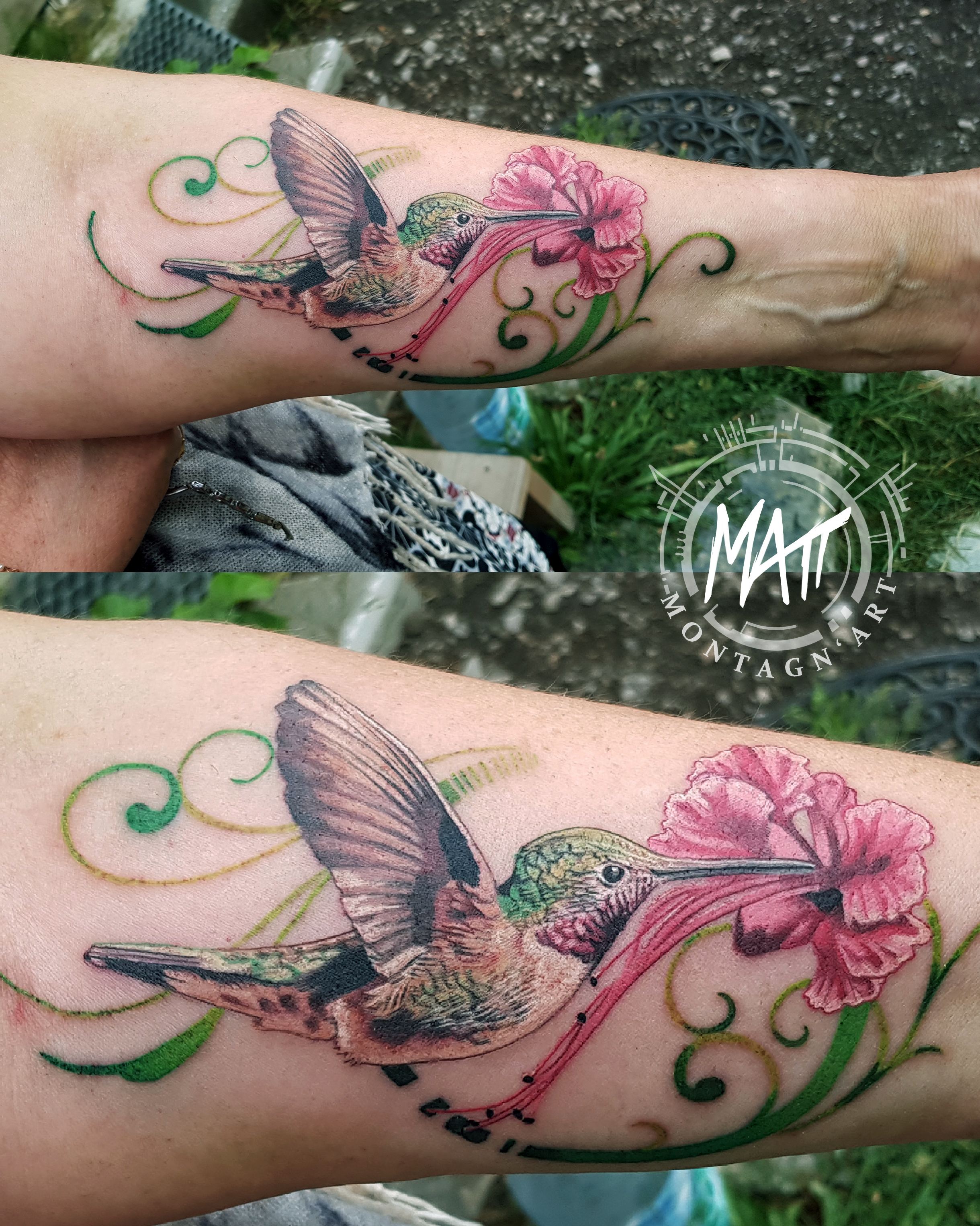 Portfolio Matt Montagnart